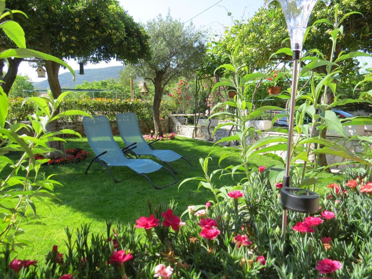 Vodaric Apartament